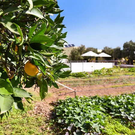 Authentic Holiday Ground Floor Level With Private Pool And Large Terrace וילה